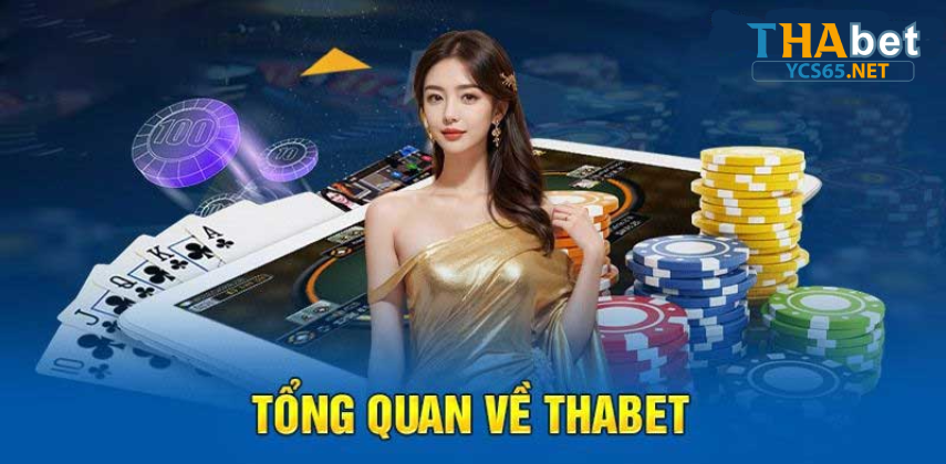YCS65 là gì? Đường link vào Thabet uy tín YCS65.NET