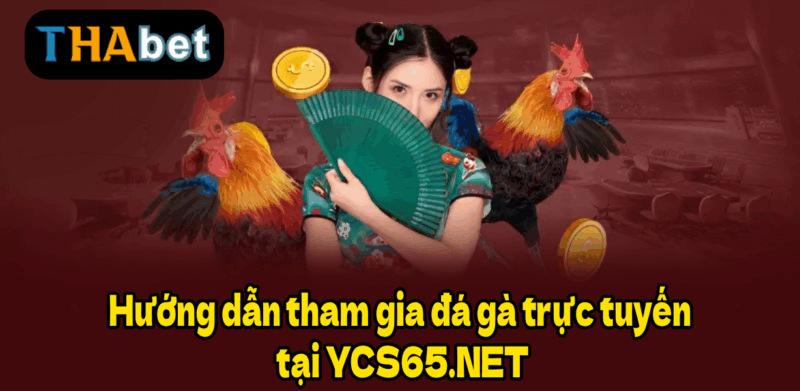 Hướng dẫn tham gia đá gà trực tuyến tại YCS65.NET